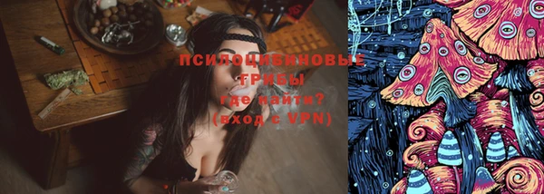 прущие крисы Пересвет