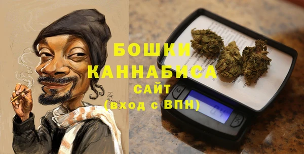 прущие крисы Пересвет