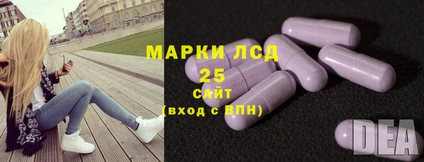 прущие крисы Пересвет