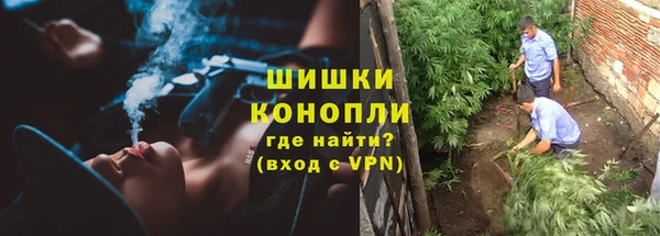 прущие крисы Пересвет