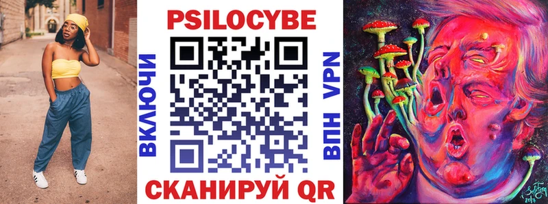Купить  Данков  Галлюциногенные грибы мицелий 